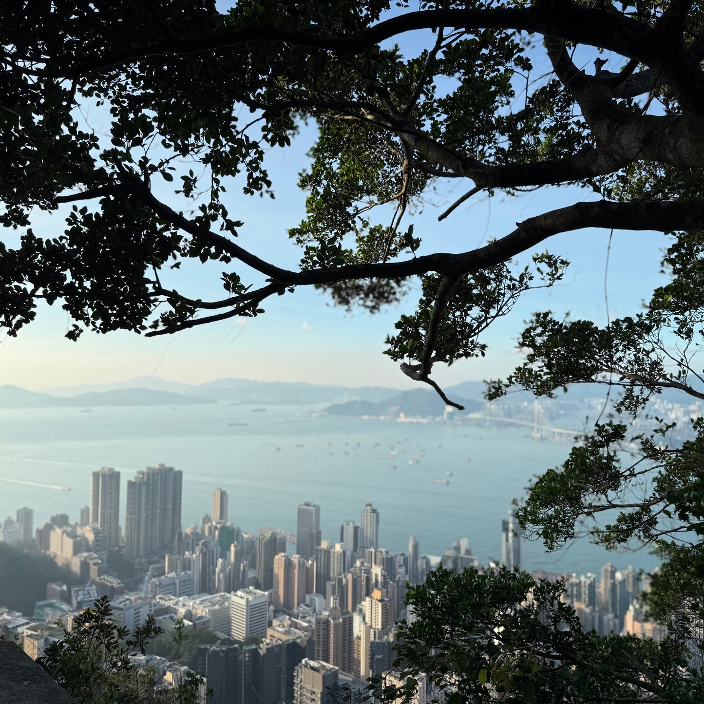 Part 1: The Panorama and The Pulse – Finding Design in Hong Kong's Contrasts