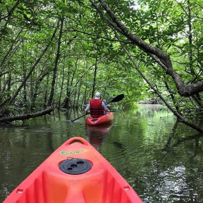 From Langkawi to the Sundarbans: The Story That Started It All